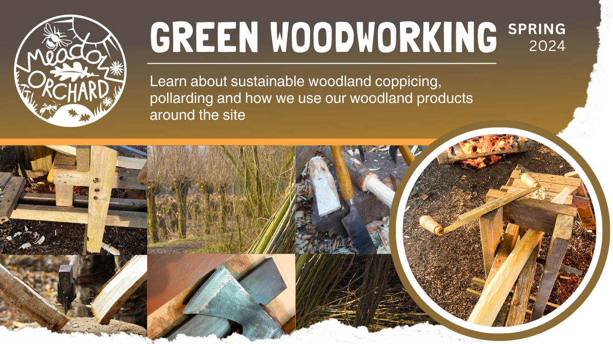 Green woodworking @MOP